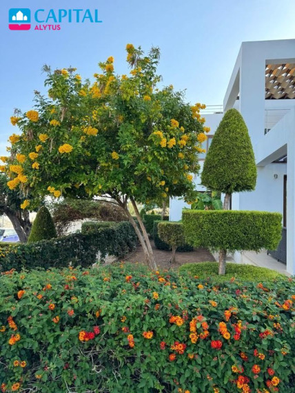 Parduodami - 3 kambarių apartamentai Šiaurės Kipre 17