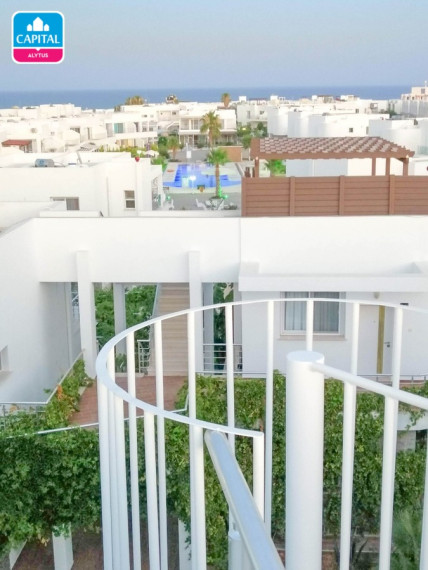 PARDUODAMI APARTAMENTAI KIPRE ANT VIDURŽEMIO JŪROS KRANTO! 21