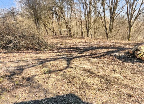 Parduodamas sklypas Salos g., Bunikių k., Šakių r. sav., 25.24 a ploto