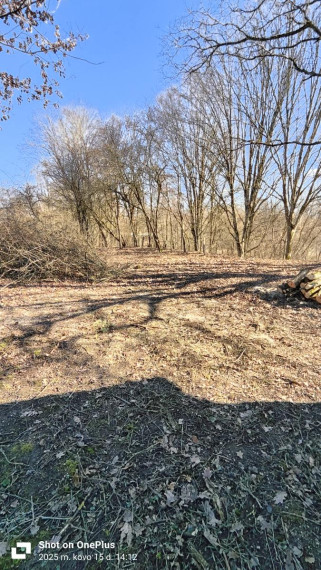 Parduodamas sklypas Salos g., Bunikių k., Šakių r. sav., 25.24 a ploto 1