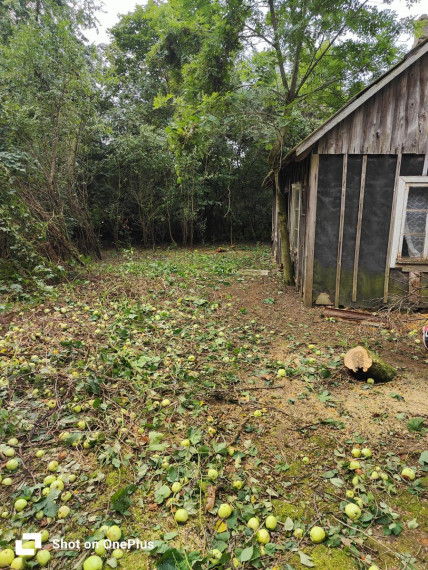 Parduodamas sklypas Salos g., Bunikių k., Šakių r. sav., 25.24 a ploto 12