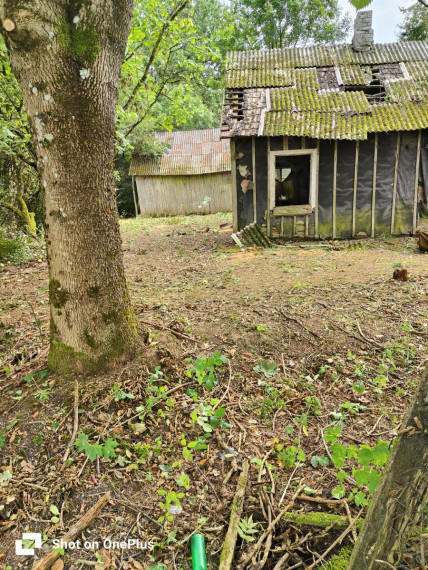 Parduodamas sklypas Salos g., Bunikių k., Šakių r. sav., 25.24 a ploto 15
