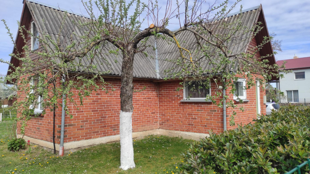 Parduodamas namas Palėvenio g., Šeškų k., Panevėžio r. sav., 37.63 m² ploto 2 kambariai 16
