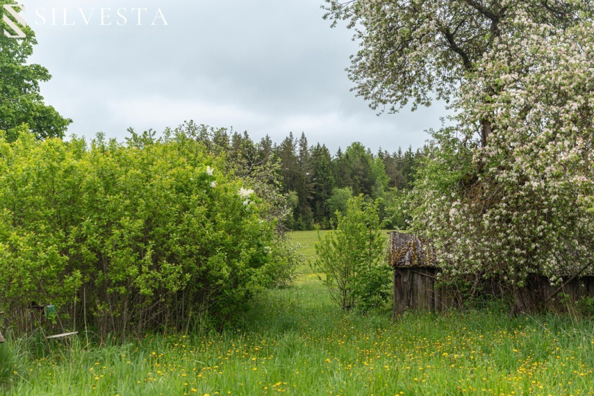 Parduodama sodyba Šileikiškės g., Šileikiškė, 1050 a ploto 6