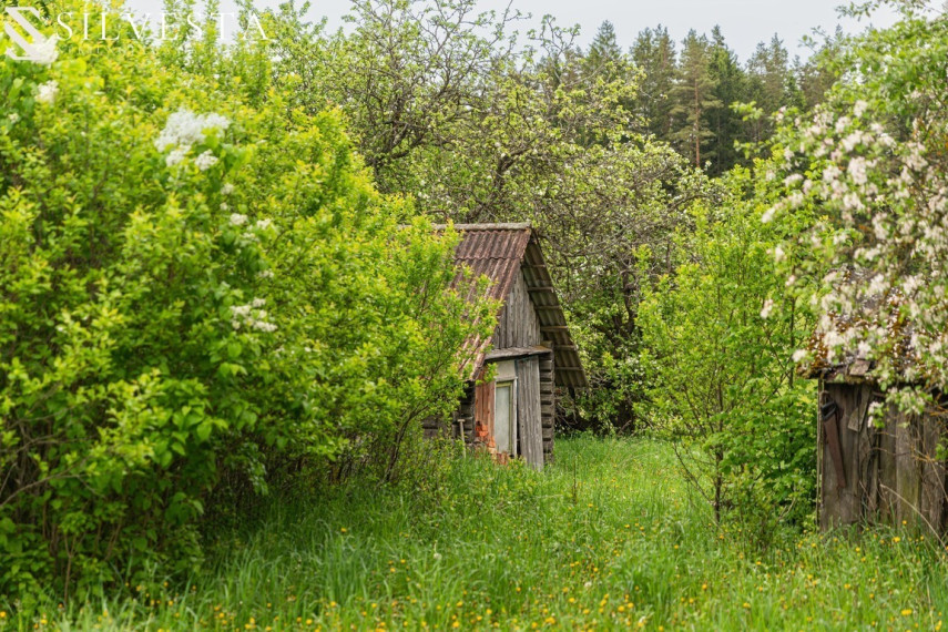 Parduodama sodyba Šileikiškės g., Šileikiškė, 1050 a ploto 7