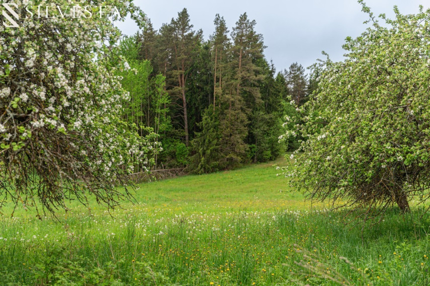 Parduodama sodyba Šileikiškės g., Šileikiškė, 1050 a ploto 9