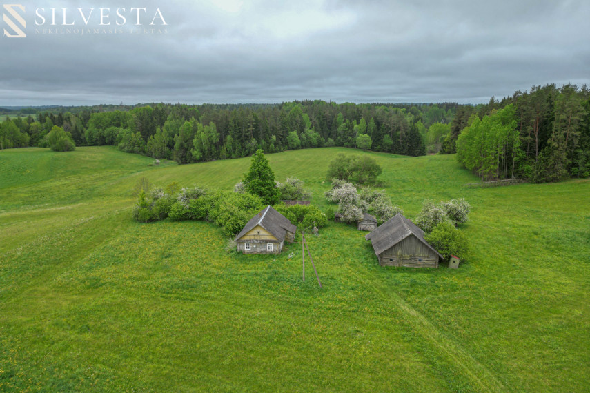 Parduodama sodyba Šileikiškės g., Šileikiškė, 1050 a ploto 14