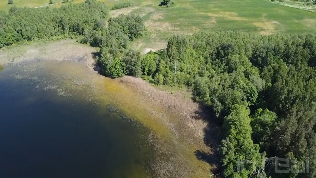 Parduodamas 7,11 ha sklypas Zarasų raj., Meiriškėlių k., prie didžiulio Čičirio ežero 13