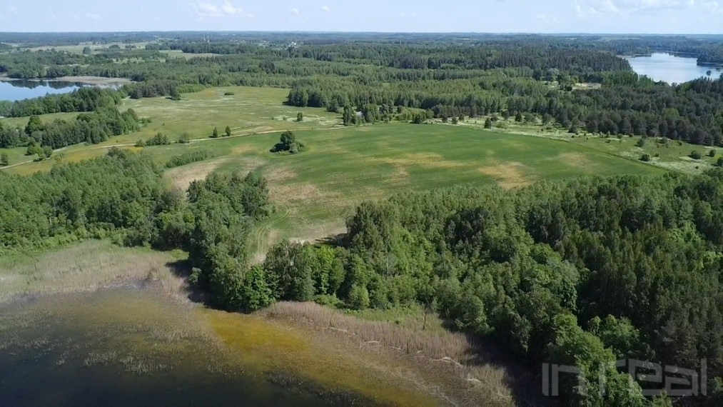Parduodamas 7,11 ha sklypas Zarasų raj., Meiriškėlių k., prie didžiulio Čičirio ežero 14
