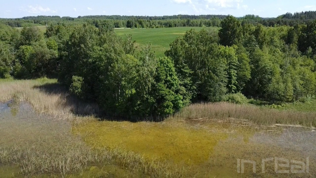 Parduodamas 7,11 ha sklypas Zarasų raj., Meiriškėlių k., prie didžiulio Čičirio ežero 15
