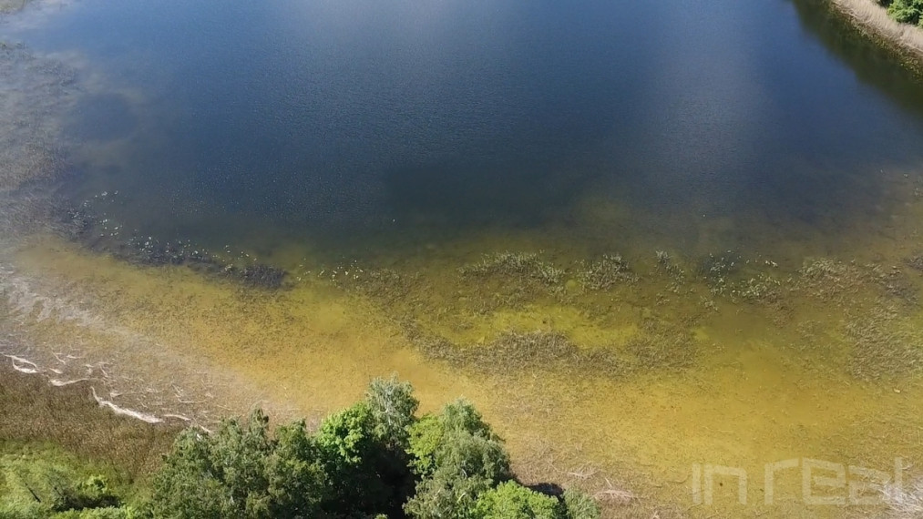 Parduodamas 7,11 ha sklypas Zarasų raj., Meiriškėlių k., prie didžiulio Čičirio ežero 19