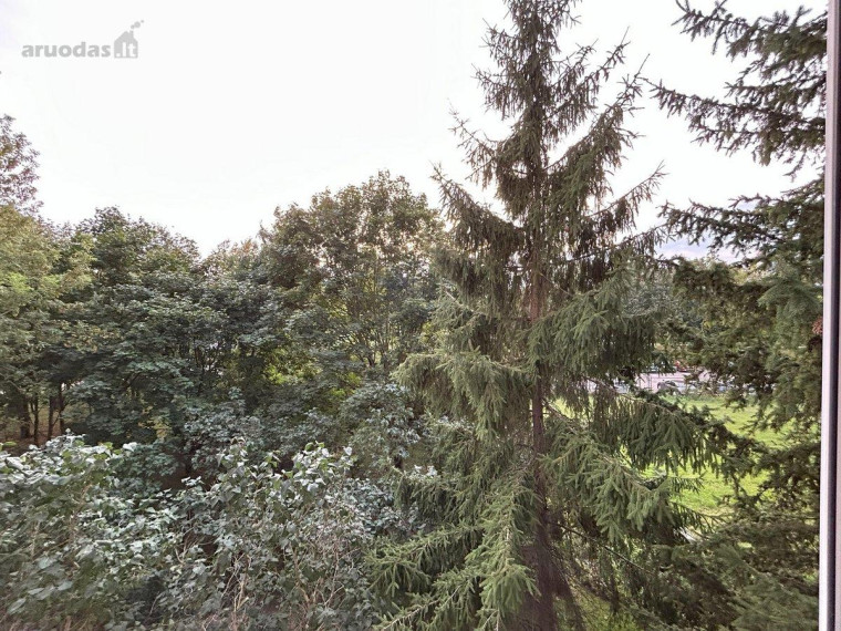 Nuomojamas butas Šeškinės g., Šeškinė, Vilniaus m., Vilniaus m. sav., 50.77 m² ploto 2 kambariai 19
