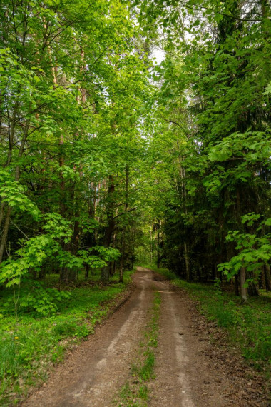 Parduodamas namas Duobiškio g., Luknių k., Utenos r. sav., 54.85 m² ploto 3 kambariai 21