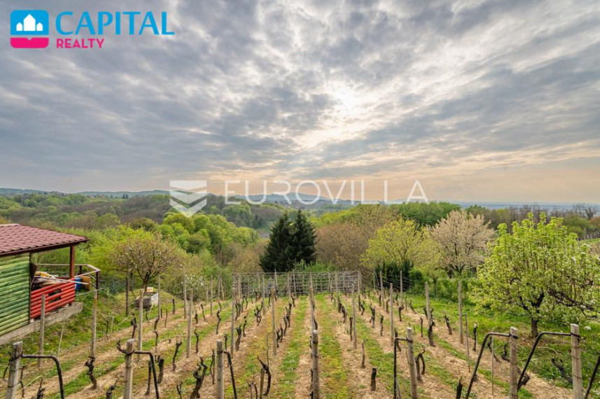 Parduodamas namas Vinogradska ulica 47 , 63.00 kv.m ploto, 2 Floors 2