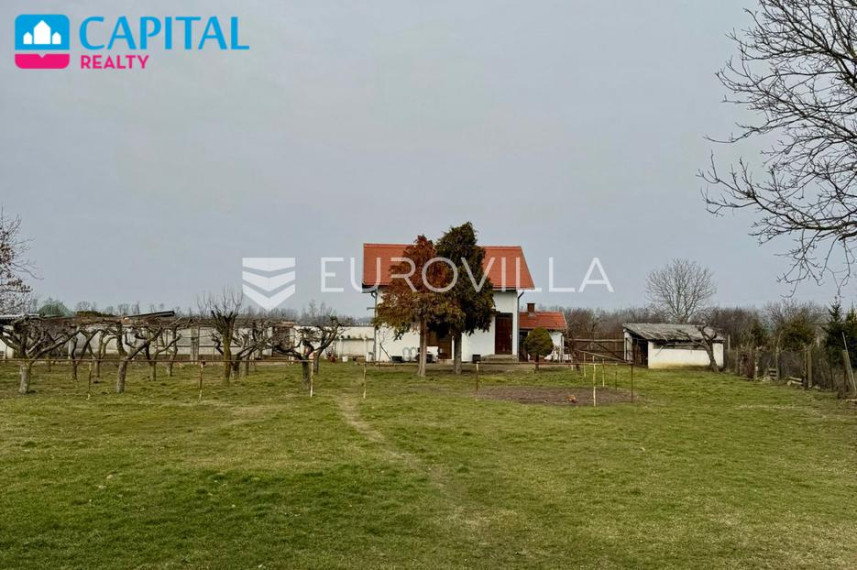 Parduodamas namas Braće Radića 75 , 1250.00 kv.m ploto, 2 aukštai 27