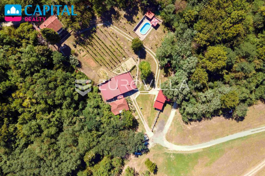 Parduodamas namas Vladimira Nazora 32 , 300.00 kv.m ploto, 2 aukštai 1