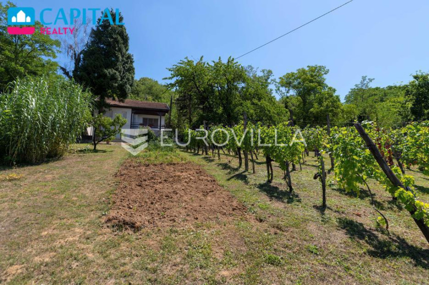 Parduodamas namas Vladimira Nazora 32 , 300.00 kv.m ploto, 2 aukštai 7