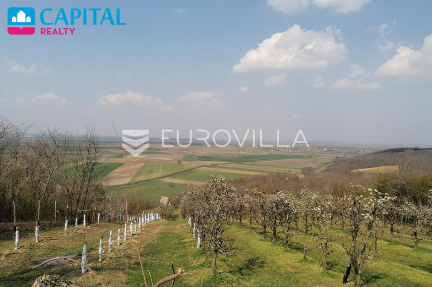 Parduodamas namas Vladimira Nazora 32 , 300.00 kv.m ploto, 2 aukštai 10