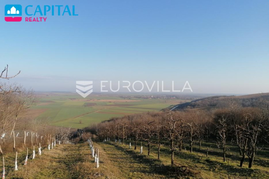 Parduodamas namas Vladimira Nazora 32 , 300.00 kv.m ploto, 2 aukštai 11