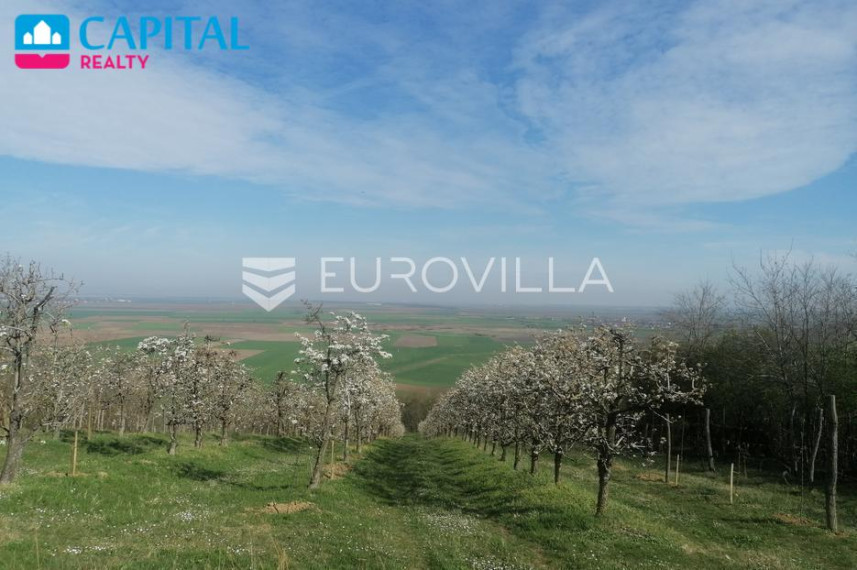Parduodamas namas Vladimira Nazora 32 , 300.00 kv.m ploto, 2 aukštai 12