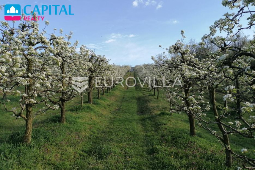 Parduodamas namas Vladimira Nazora 32 , 300.00 kv.m ploto, 2 aukštai 13