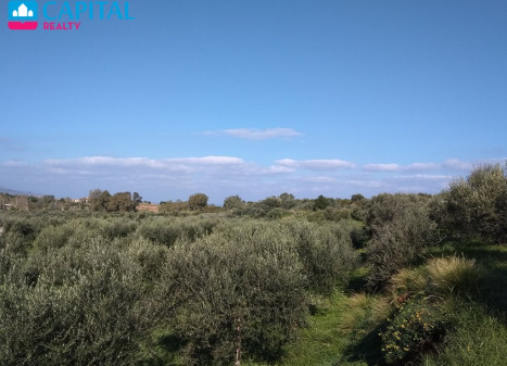 Parduodamas sklypas Palea Ethniki Odos Kissamou Chanion 24 , 6000.00 a ploto