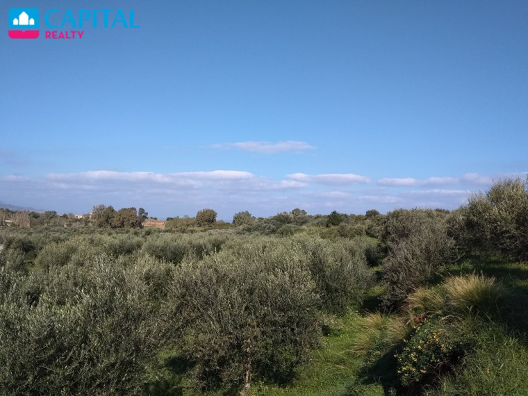 Parduodamas sklypas Palea Ethniki Odos Kissamou Chanion 24 , 6000.00 a ploto 1