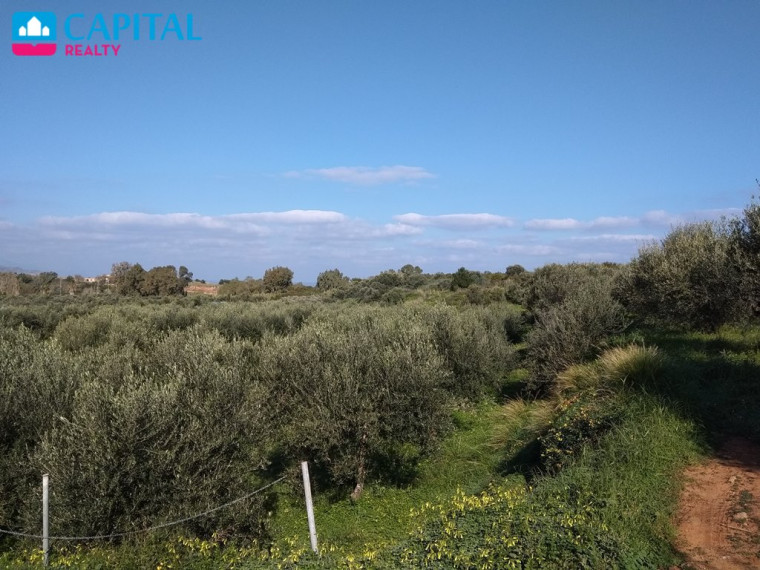Parduodamas sklypas Palea Ethniki Odos Kissamou Chanion 24 , 6000.00 a ploto 2