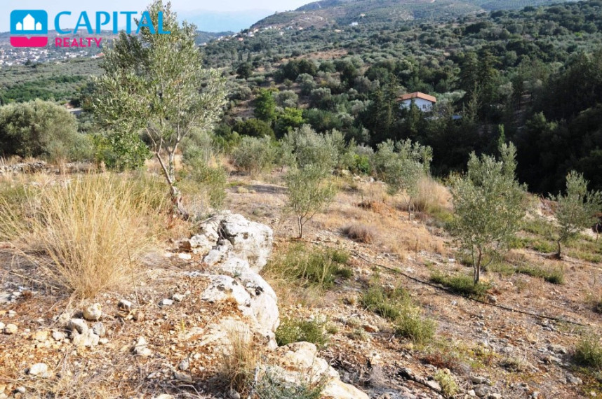 Parduodamas sklypas 5335.00 a ploto 3