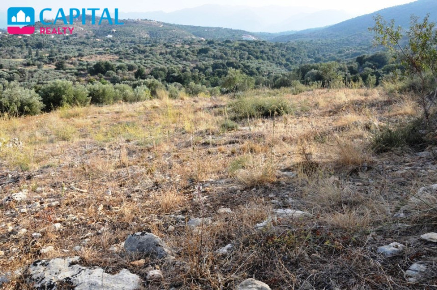 Parduodamas sklypas 5335.00 a ploto 4