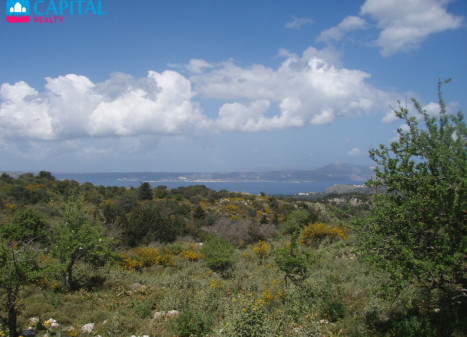 Parduodamas sklypas 4033.00 a ploto