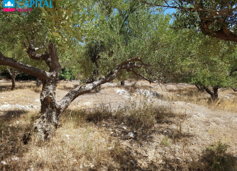 Parduodamas sklypas 760.00 a ploto