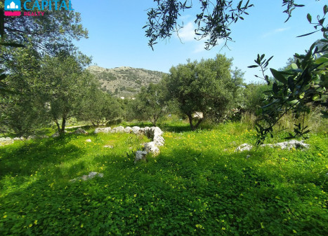 Parduodamas sklypas 562.00 a ploto
