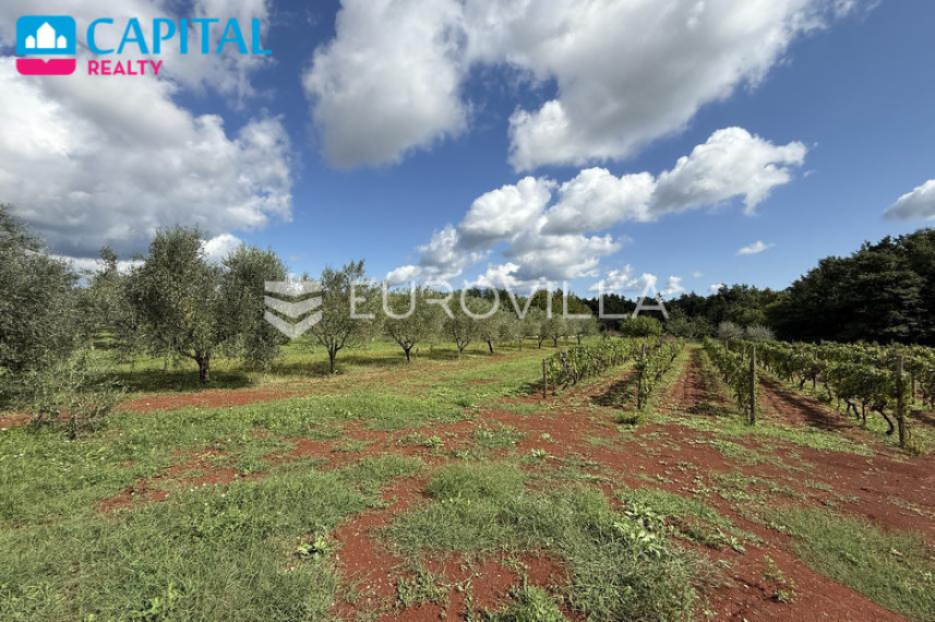 Parduodamas namas Melnica 12 , 180.00 kv.m ploto, 1 aukštai 22