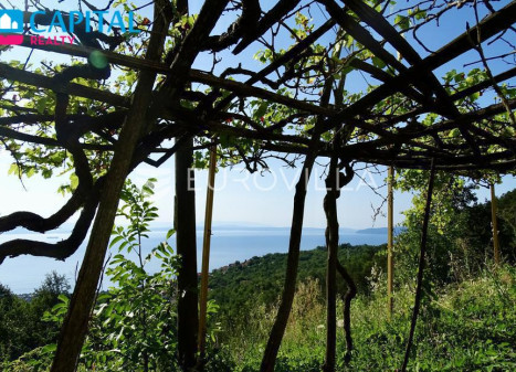 Parduodamas namas Ladeti 62 , 350.00 kv.m ploto, 2 aukštai Parduodamas namas Ladeti 62 , 350.00 kv.m ploto, 2 aukštai