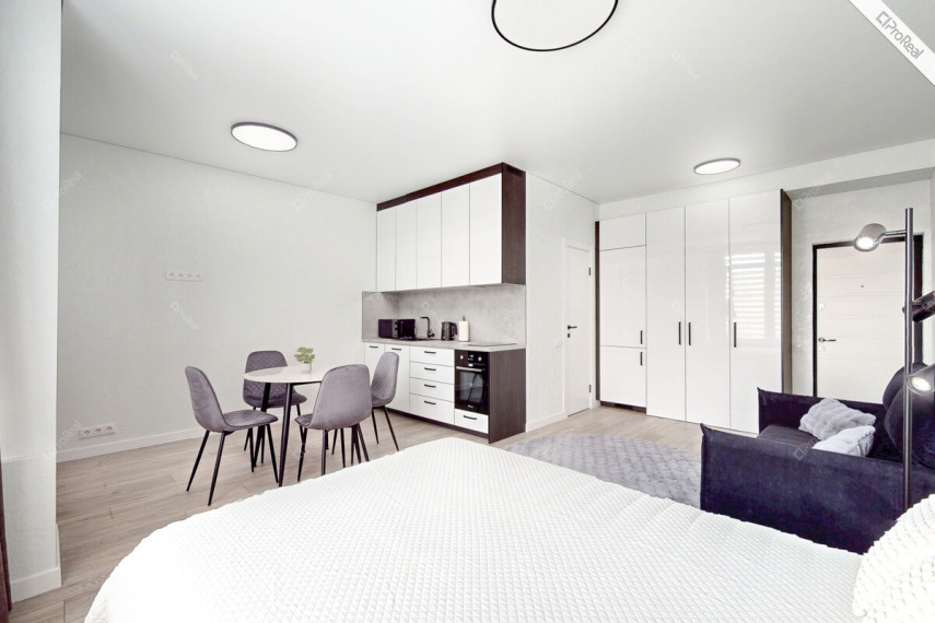 Nuomojamas butas Eišiškių pl., Vilniaus m., Vilniaus m. sav., 30 m2 ploto, 1 kambariai 1