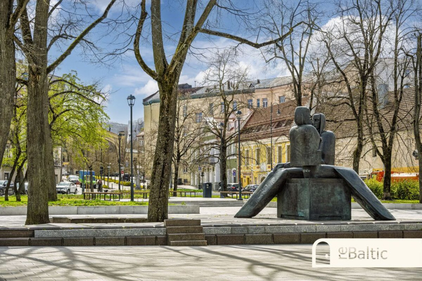 Parduodamos administracinės, paslaugų, prekybos patalpos Visų Šventųjų g., Vilniaus m., Vilniaus m. sav., 310 m2 ploto 23