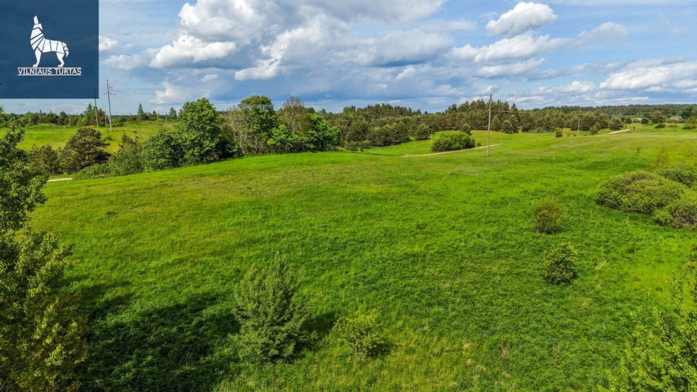 Parduodamas  sklypas Kaližų k., Molėtų r. sav., 133.2 a ploto 24