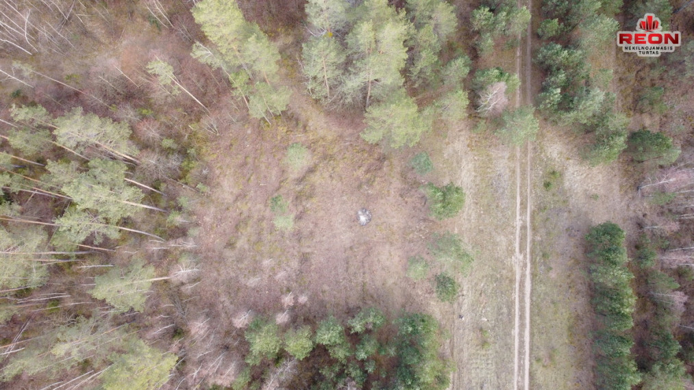 Parduodamas  sklypas Pylimo g., Druskininkų m., Druskininkų sav., 9 a ploto 1