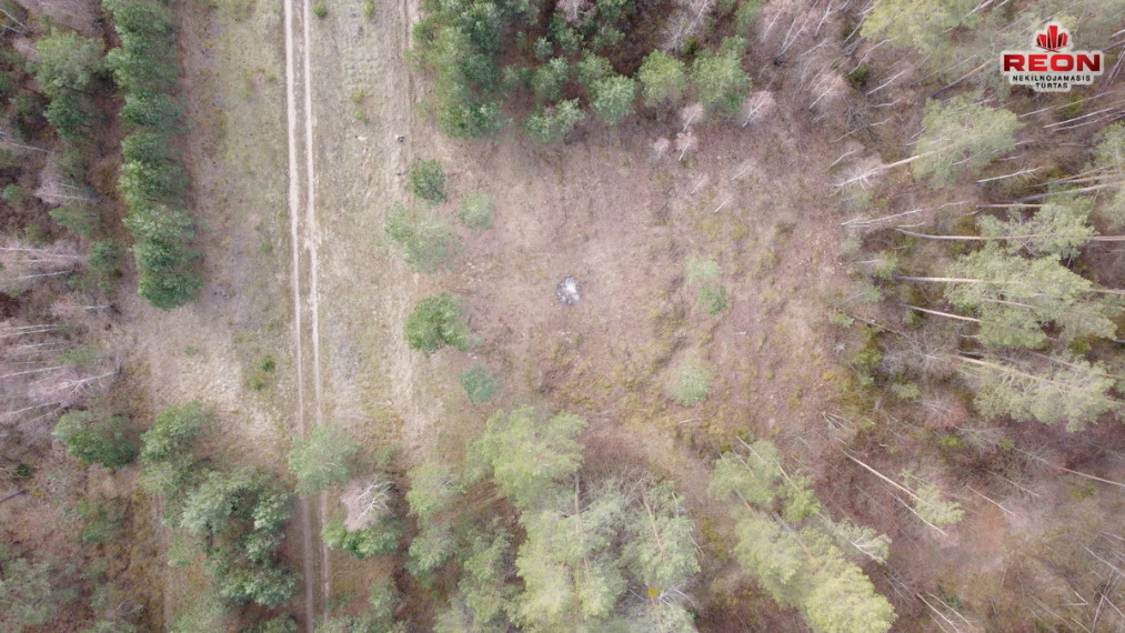 Parduodamas  sklypas Pylimo g., Druskininkų m., Druskininkų sav., 9 a ploto 3