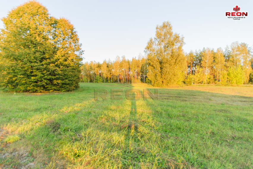 Parduodamas  sklypas Gailiūnų g., Gailiūnų k., Druskininkų sav., 41 a ploto 3