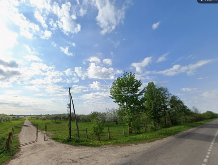 Parduodamas  sklypas Kėbliškių k., Prienų r. sav., 2154 a ploto 4