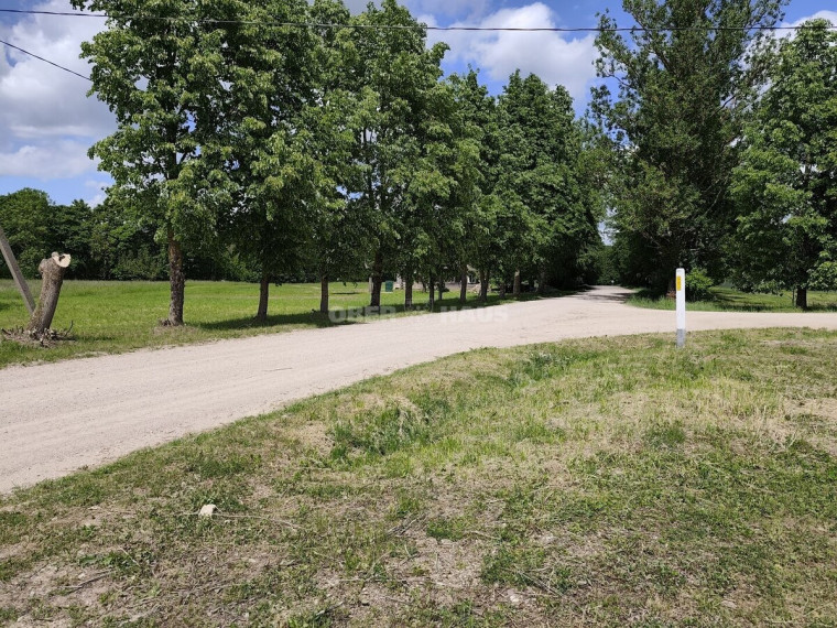 Parduodamos gamybinės, sandėliavimo patalpos Naudvario g., Pažibų k., Panevėžio r. sav., 980 m2 ploto 6