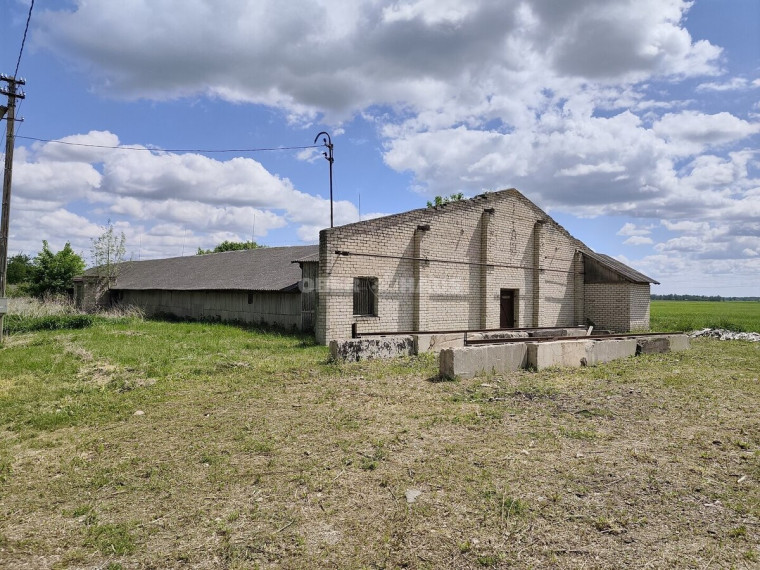 Parduodamos gamybinės, sandėliavimo patalpos Naudvario g., Pažibų k., Panevėžio r. sav., 980 m2 ploto 8