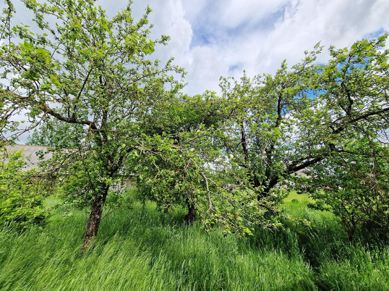 Parduodamas namas Žaugėdų k., Molėtų r. sav., 81 m² ploto 3 kambariai 20