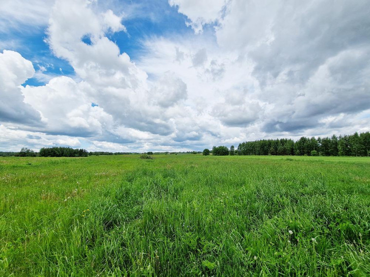 Parduodamas namas Žaugėdų k., Molėtų r. sav., 81 m² ploto 3 kambariai 21