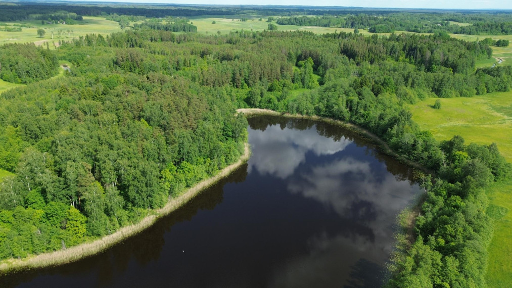 Parduodamas sklypas Mikolojūnų k., Utenos r. sav., 1.160 a ploto 12