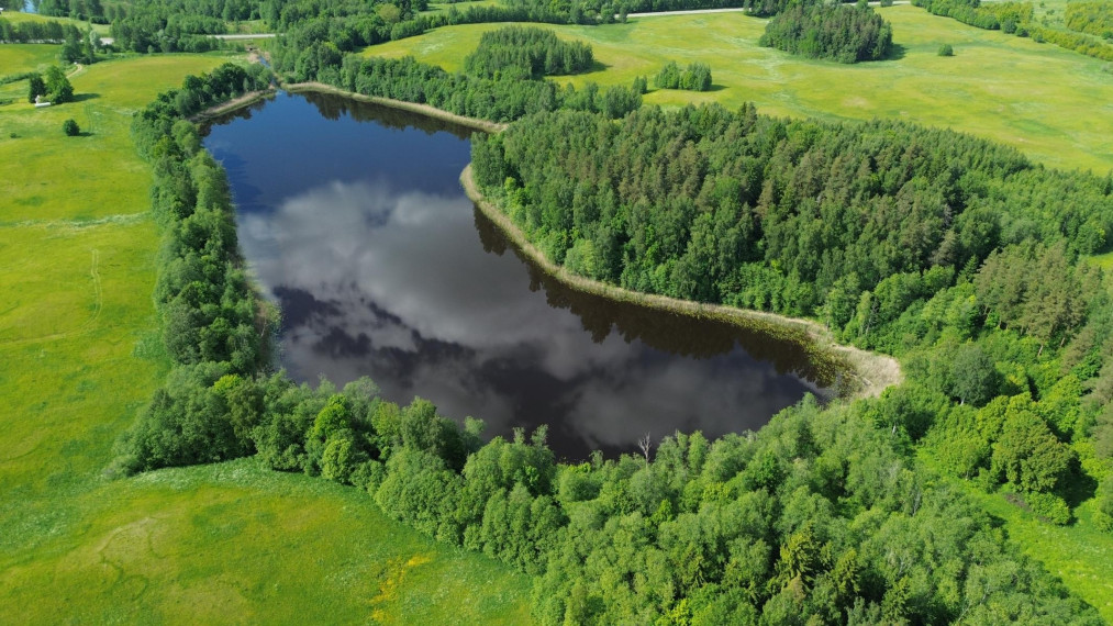 Parduodamas sklypas Mikolojūnų k., Utenos r. sav., 1.160 a ploto 14