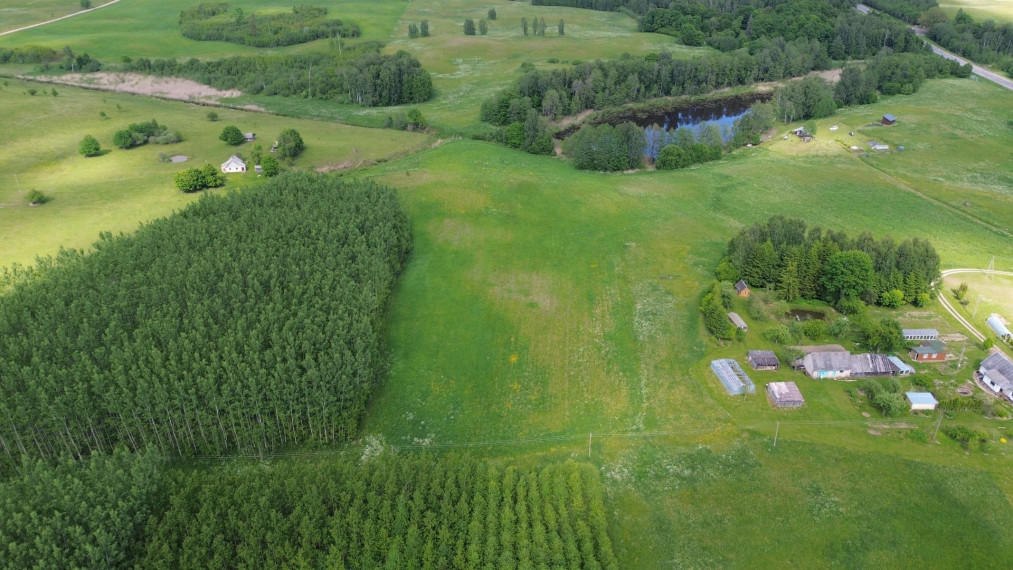 Parduodamas sklypas Mikolojūnų k., Utenos r. sav., 1.160 a ploto 6