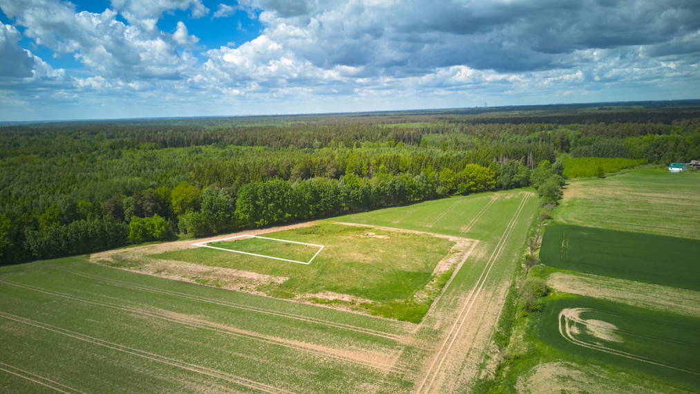 Parduodamas sklypas Stirnų g., Piliuona, 20.93 a ploto 4